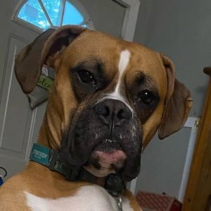 Meet your Posher, Misty